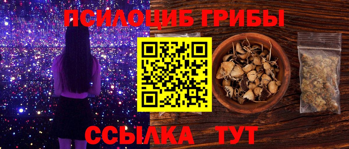 Орехово-Зуево  Галлюциногенные грибы прущие грибы  Вход с VPN 
